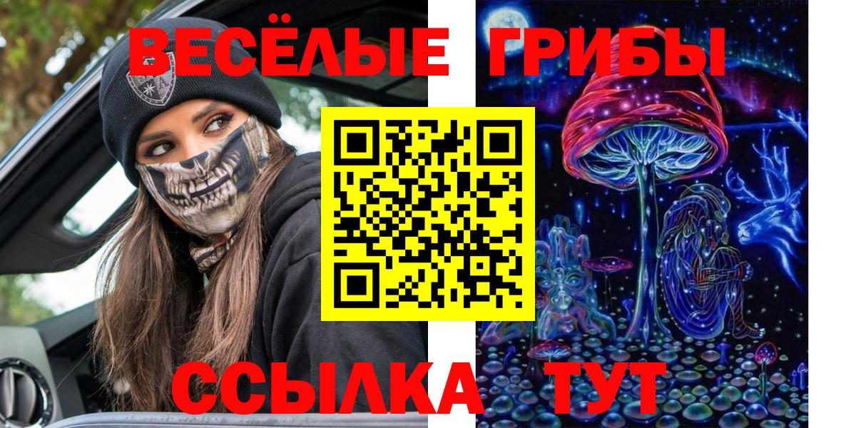 купить  цена  Псилоцибиновые грибы мицелий  Вход с VPN  Изобильный 